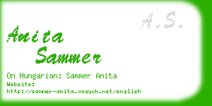 anita sammer business card